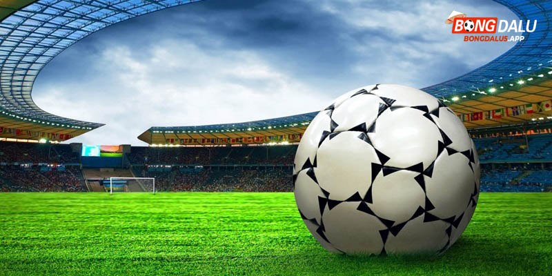 Bongdalu5.app là một trong các đơn vị website bóng đá uy tín hàng đầu thị trường