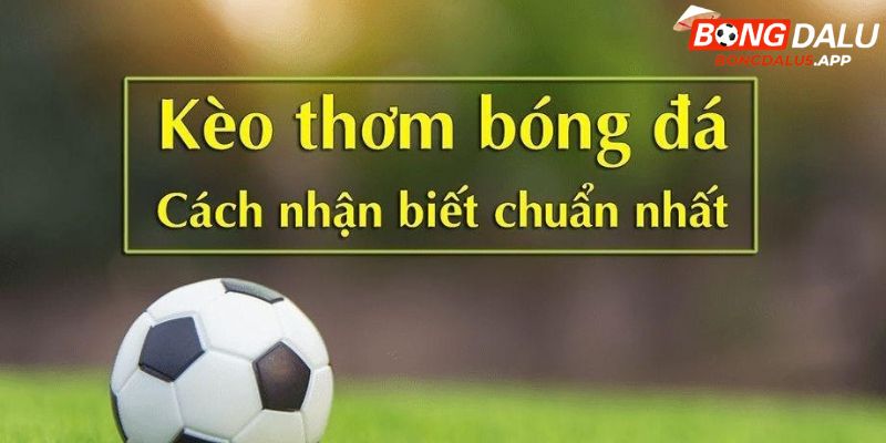 Có nhiều cách để nhận diện kèo thơm không phải ai cũng biết