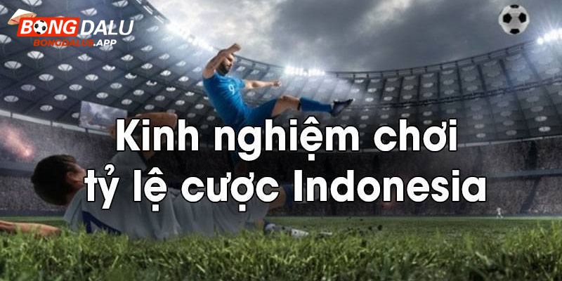 Phương pháp và kinh nghiệm cược odds Indo